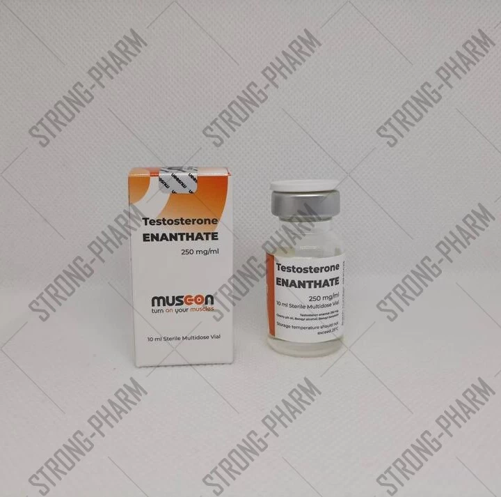 Testosterone Enanthate MUSC ON 250 мг/мл 10 мл